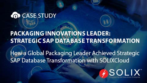 Packaging Innovations Leader: Strategic SAP Database Transformation